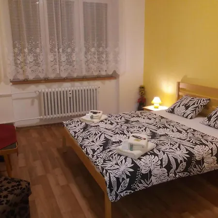 Sunflower Ostrava