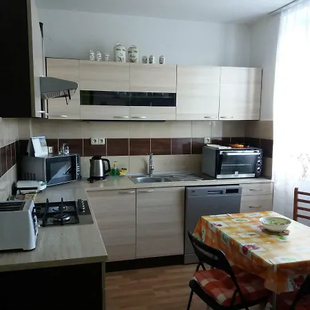 Sunflower Ostrava